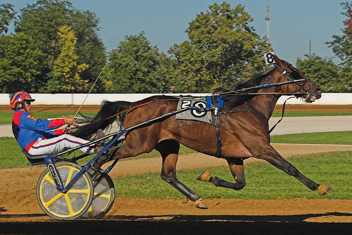 HarnessRacing