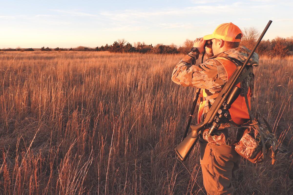 Hunting