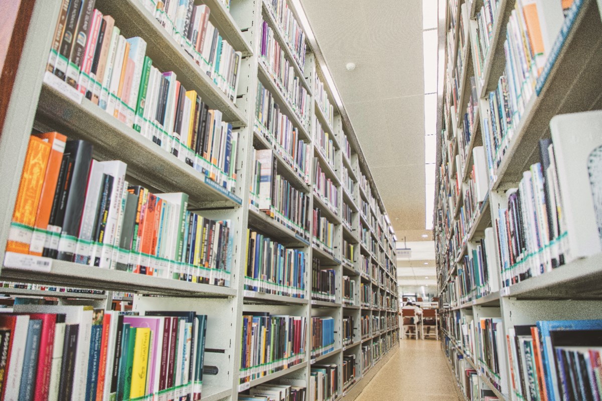 mvt stock library